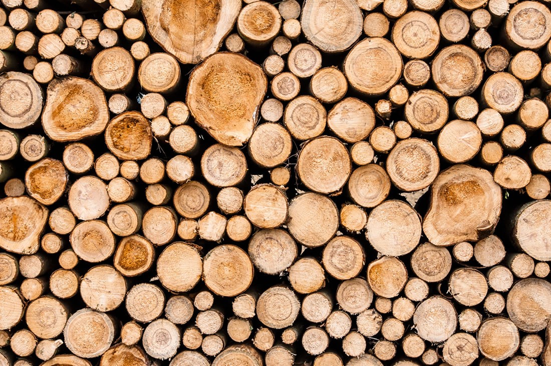 Fichtenholz geschnitten © shutterstock.com